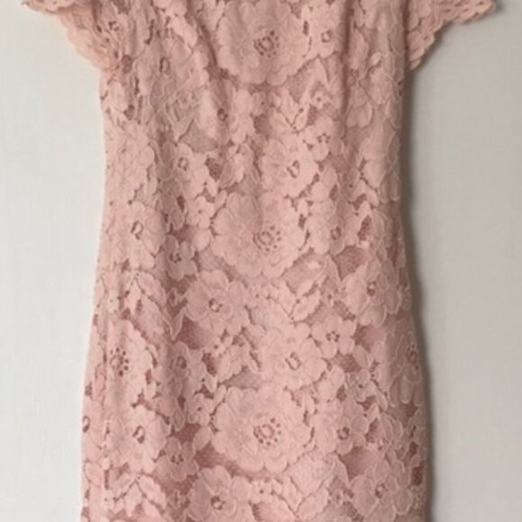 RALPH LAUREN NWT Dress sz18 Lt Pink Fliral Lace Overlay Lined Above Knee Classy - Picture 11 of 16